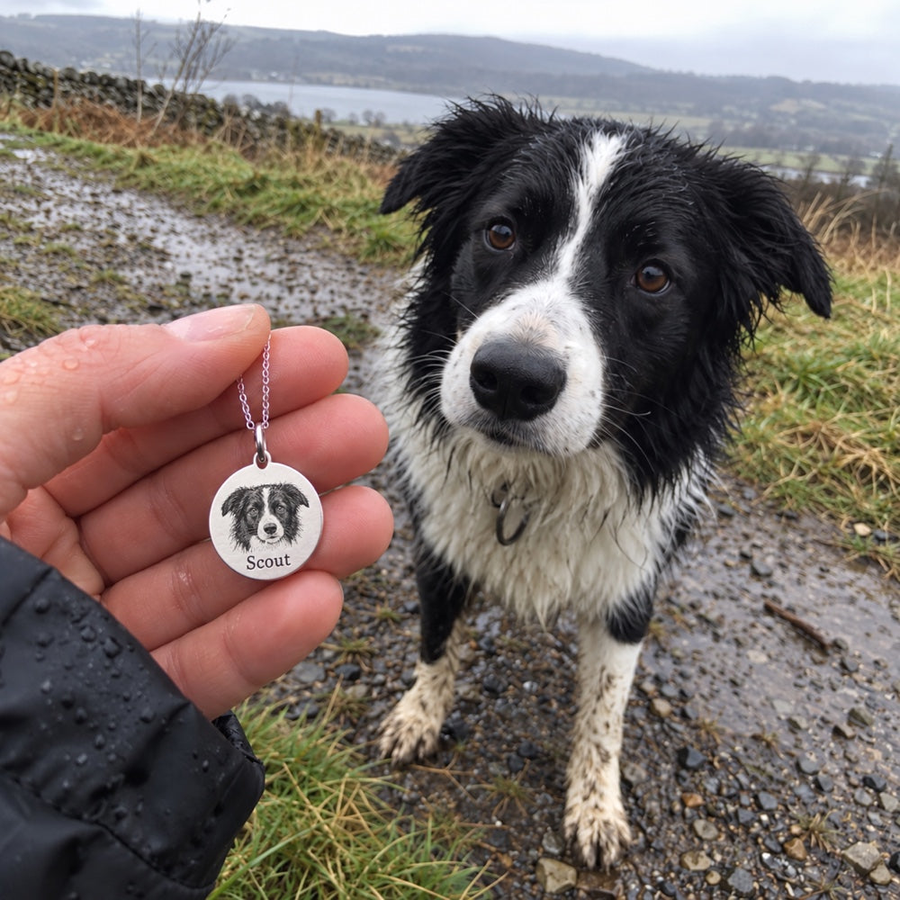 Dog — AI concept: phone snapshot of a silver Scout pendant held beside the matching border collie on a wet gravel walk. Not a customer photo or verified finished product.