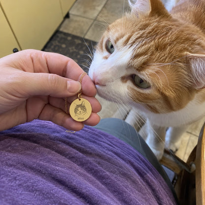 Cat — AI concept: AI demo casual overhead photo of a gold Miso pendant held over a purple T-shirt while a ginger-and-white cat noses the hand. Not a customer photograph.