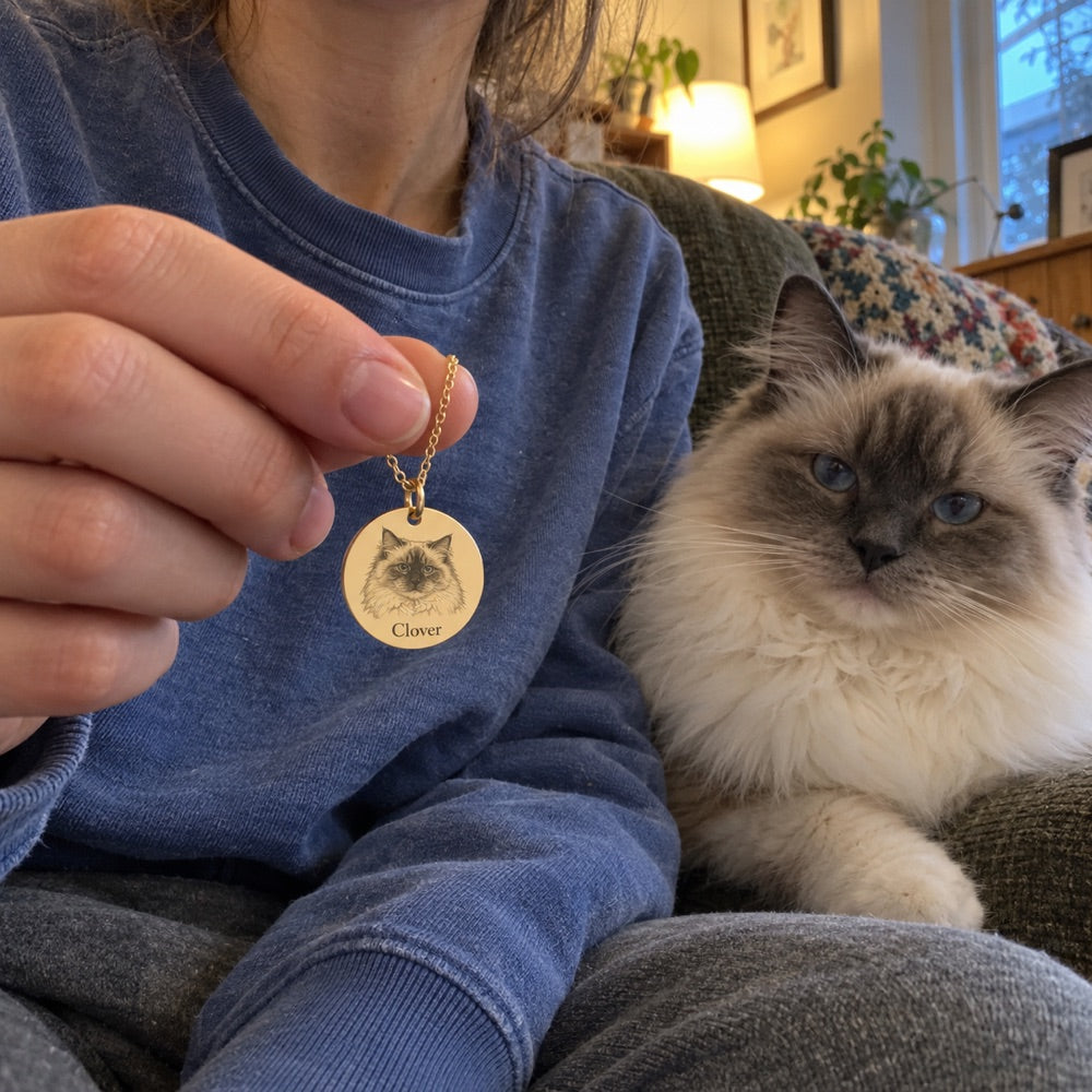 Cat — AI concept: AI concept: an adult in a faded blue sweatshirt holds a gold Clover portrait necklace beside the matching ragdoll cat. Not a customer photograph.