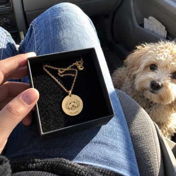 AI concept: A gold necklace engraved TEDDY rests in a gift box on a denim lap beside a cream Maltipoo.