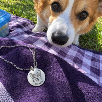 AI concept: A silver necklace engraved with BEANS and a corgi portrait lies on a purple picnic blanket beside the corgi.