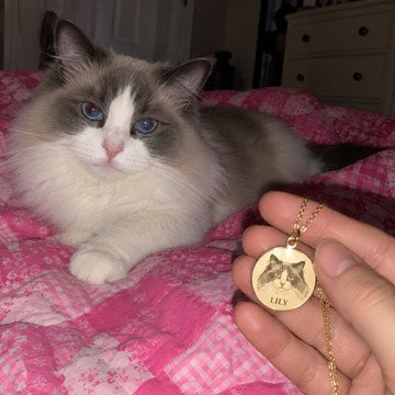 AI concept: A hand holds a gold LILY portrait necklace beside a blue-eyed ragdoll lounging on a pink quilt.