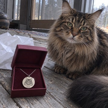 AI concept: A silver necklace engraved OAK sits in a burgundy gift box beside a fluffy Maine Coon on a weathered porch.