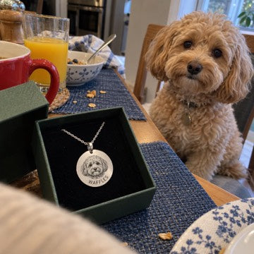 AI concept: Apricot Maltipoo beside Waffles’s silver portrait necklace in an open green box at breakfast.
