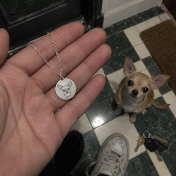 AI concept: Pip the Chihuahua by the shoes while a palm displays the matching silver engraved necklace.