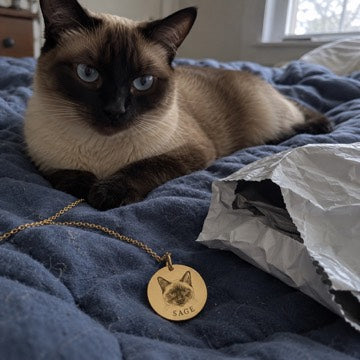 AI concept: Sage the seal-point Siamese beside a gold portrait necklace and opened mailer on a blue bedspread.