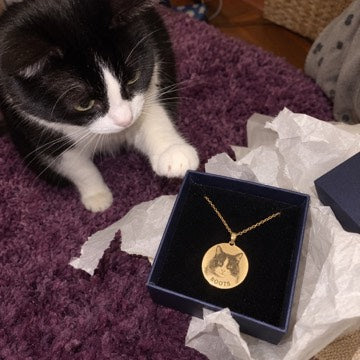 AI concept: Boots the tuxedo cat inspecting an open navy gift box containing a matching gold portrait necklace.